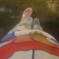 nhạc nền - mèo ngáo