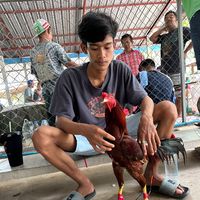 theerapatjaidumrong