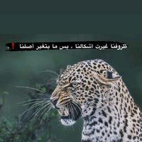 hmzahzamarh