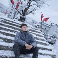 arber499