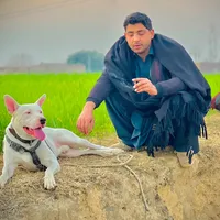 original sound - hamidkhan9821