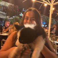 arava.barzilay