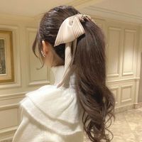 オリジナル楽曲 - 🐶🪄