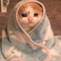 original sound - حق الضحك 🤣.