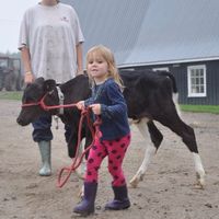 quinn759