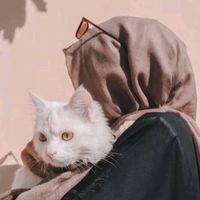fatima.koj