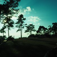 sitti_2545