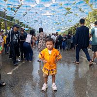 original sound - 🦋U Oo Ñÿēîñ Çĥ@ń🌸