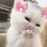 เสียงต้นฉบับ - XINJIAah