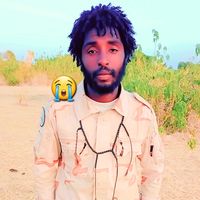 adam.hassan7599
