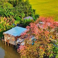 âm thanh gốc - Cảnh Đẹp Miền Tây ✅