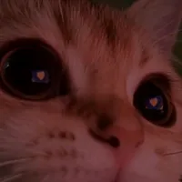 original sound - x.speed.x.songs.x.1.x