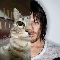 original sound - ssqet_traktor