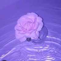aiza_ttk