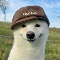 ppallermoo