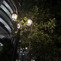 original sound - ashleynguyen886