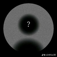 _nobin_3