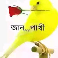 mdsobuj225566
