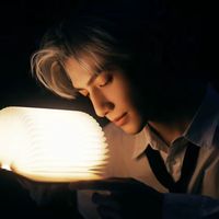 dieuthuhoanhthanh537