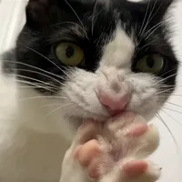 original sound - nikiosik