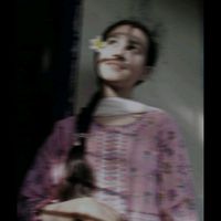 s.j..sa.if