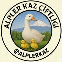 alplerkaz