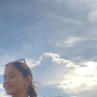 axreginaly06
