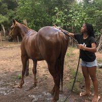 stefany_silva276