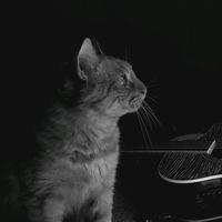 ernestmiku
