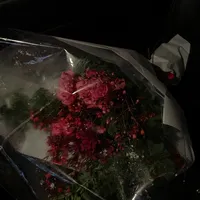 original sound - jixxv0