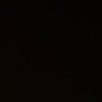 sariss_280