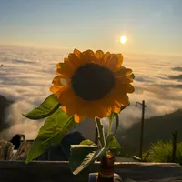 original sound - nekomiu97