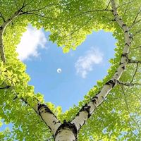 malatya4444yesilyurt4444