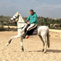captain_equestrian0
