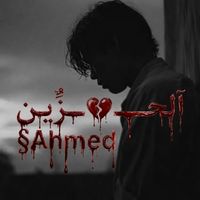 ahmedmohamed51381
