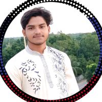md.alaminislam2650