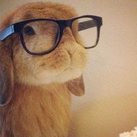 เสียงต้นฉบับ - M 🦋 (ช่องสํารอง)