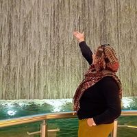 sofiaalrasheed