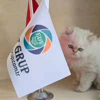 edtgrup