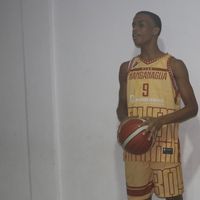arielogando3