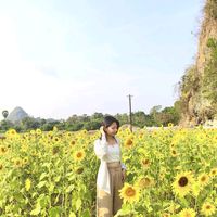 sunny_3324