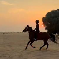 dinaa.ak