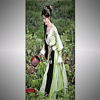 jujingyi399