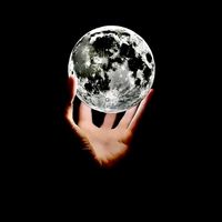 mustafa.muhammad3354