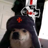 cachorrovasco_