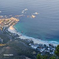 dzine263