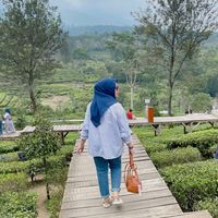 suara asli - Elisa Imanda