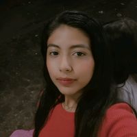 alondraarcebenites