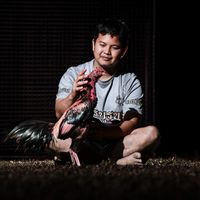 golfkaokai2539