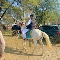 haroonch08